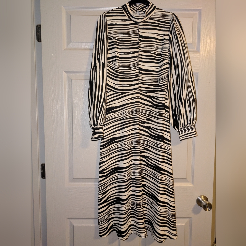 Black & White Zebra Stripe Long Sleeve Women's Dress